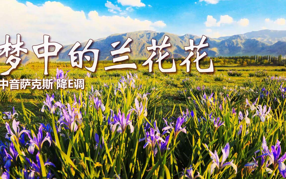 [图]流行歌曲《梦中的兰花花》，萨克斯音色动听，美妙旋律宛转悠扬！