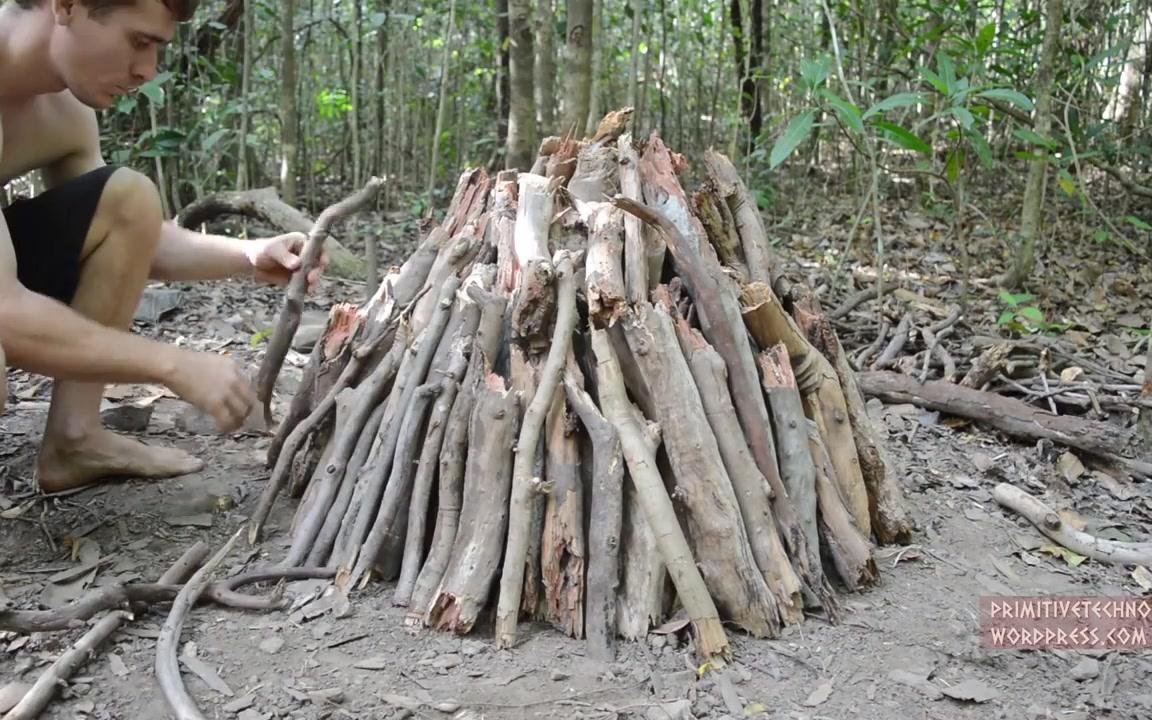 [图]Primitive Technology