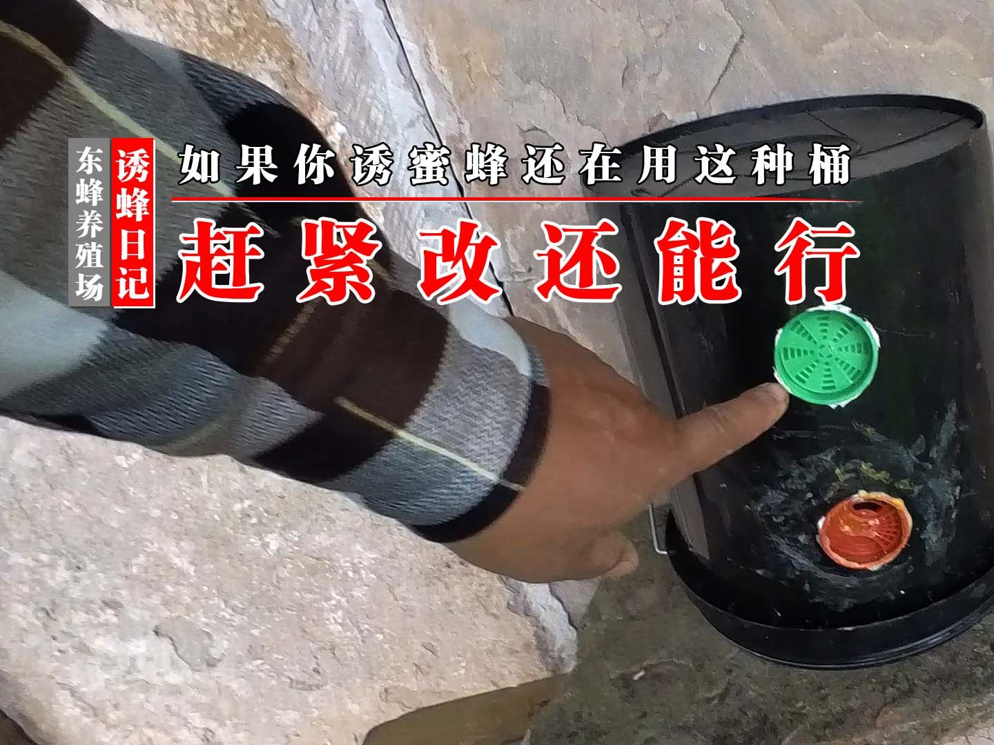 如果你还在用这种诱蜂桶诱蜂,赶紧改一下,还有机会哔哩哔哩bilibili