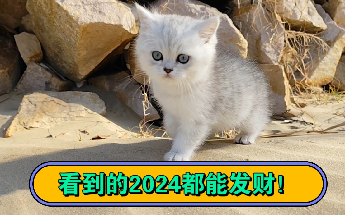 各位點讚的小夥伴,2024發財!脫單!加薪!