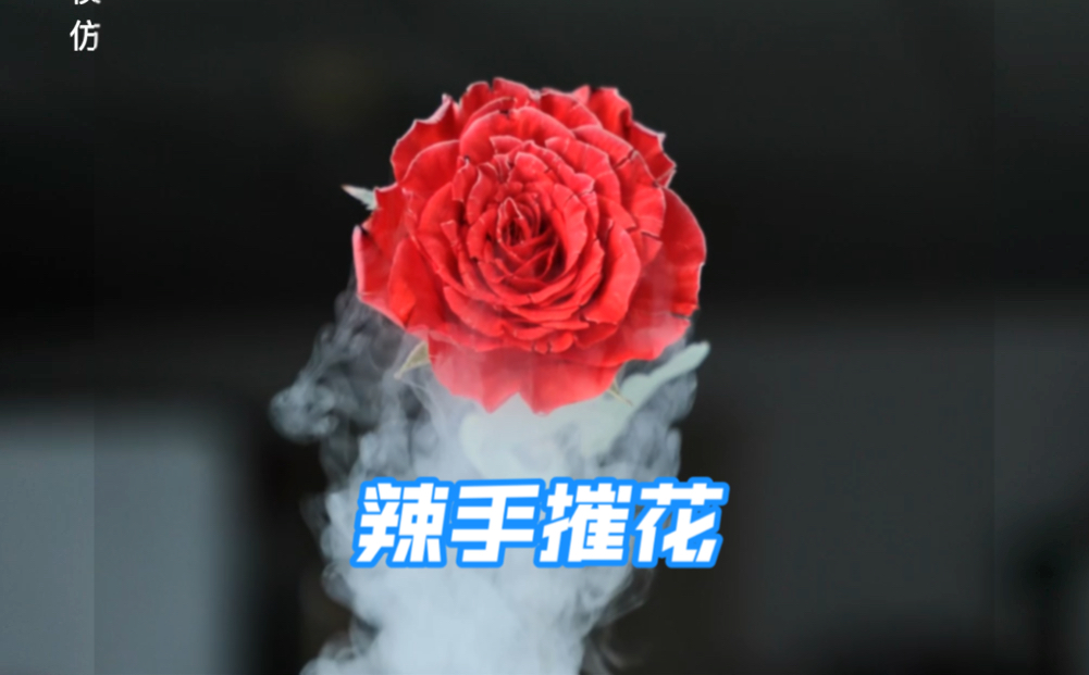 辣手摧花哔哩哔哩bilibili