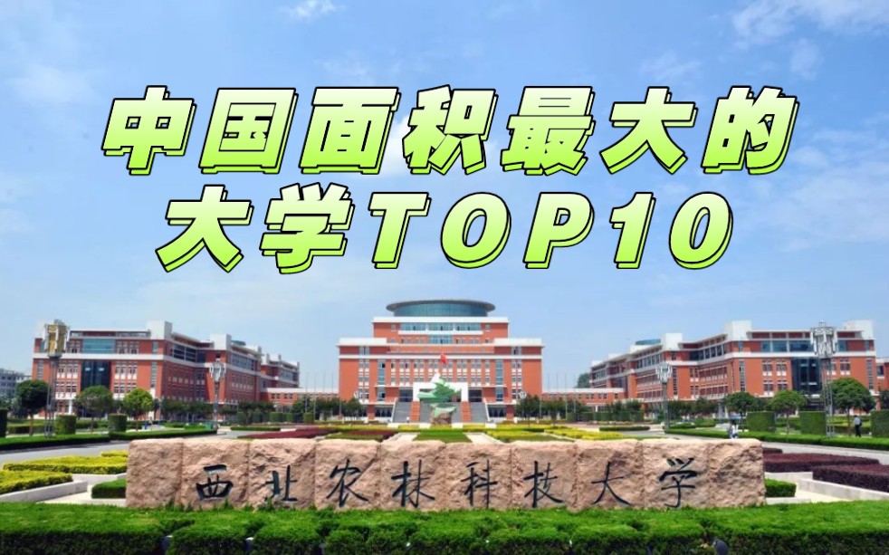 中国面积最大的大学TOP10,农林类大学占了7所!哔哩哔哩bilibili