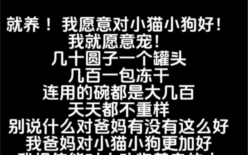 地球𐟌不是只属于人类的爱小动物的人都发大财#全民呼吁停止残忍捕杀流浪猫狗哔哩哔哩bilibili