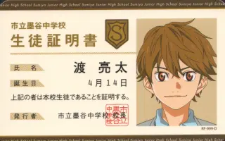 渡亮太 哔哩哔哩 Bilibili