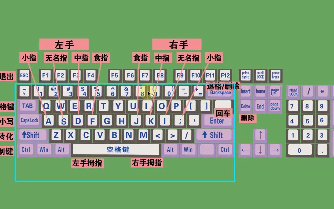 零基础电脑知识,掌握键盘标准指法,打字速度和准确率都可以提高