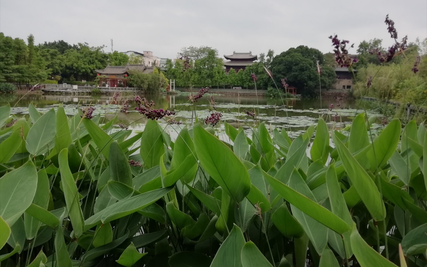 [图]如此优美景的休闲花园