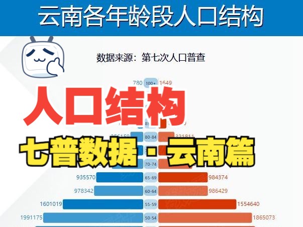 云南各年龄段分性别人口结构哔哩哔哩bilibili