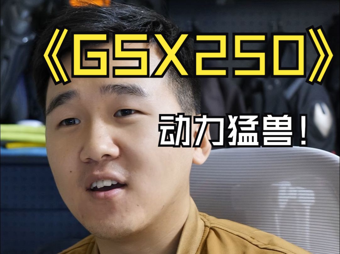 GSX250,动力猛兽主打就是个强!哔哩哔哩bilibili