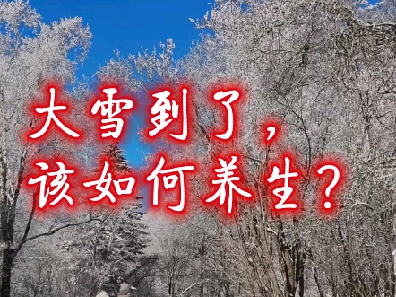 大雪至,养生重在“藏”哔哩哔哩bilibili