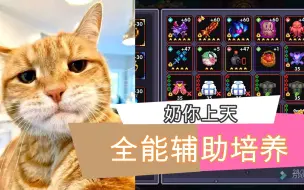 Download Video: 【我的勇者】辅助职业培养