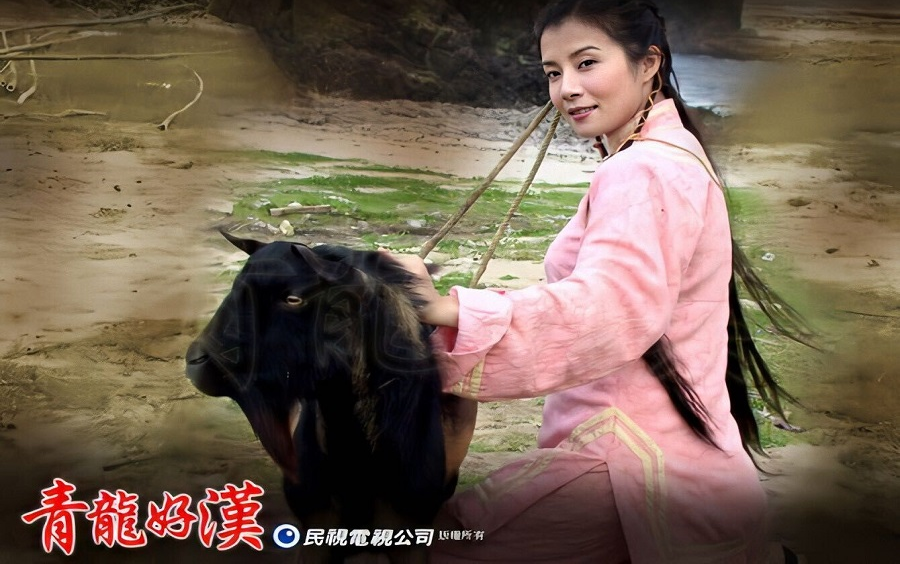 岳翎青龙好汉section05