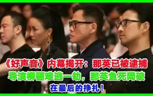 Download Video: 《好声音》内幕揭开：那英已被逮捕，导演柳骊难逃一劫，那英鱼死网破在最后的挣扎！#那英#杨坤#中国好声音#中国好声音#刀郎#罗刹海市#周深