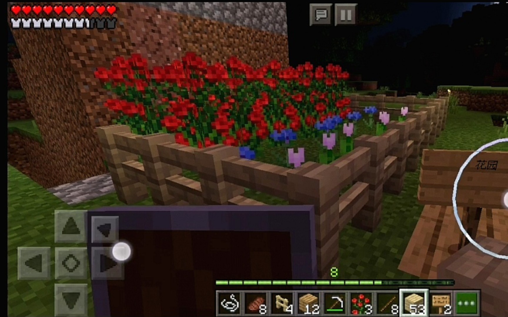 【minecraft】看我的后花园,漂亮吗?有玫瑰花,矢车菊,粉色郁金香