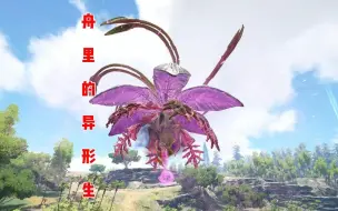 Download Video: 方舟里的异形生物