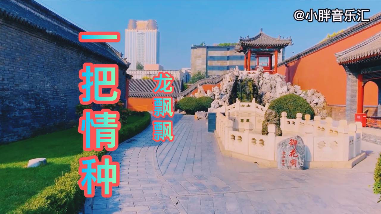 [图]老情歌：龙飘飘《一把情种》老曲新听，永远都是那么动听，经典！