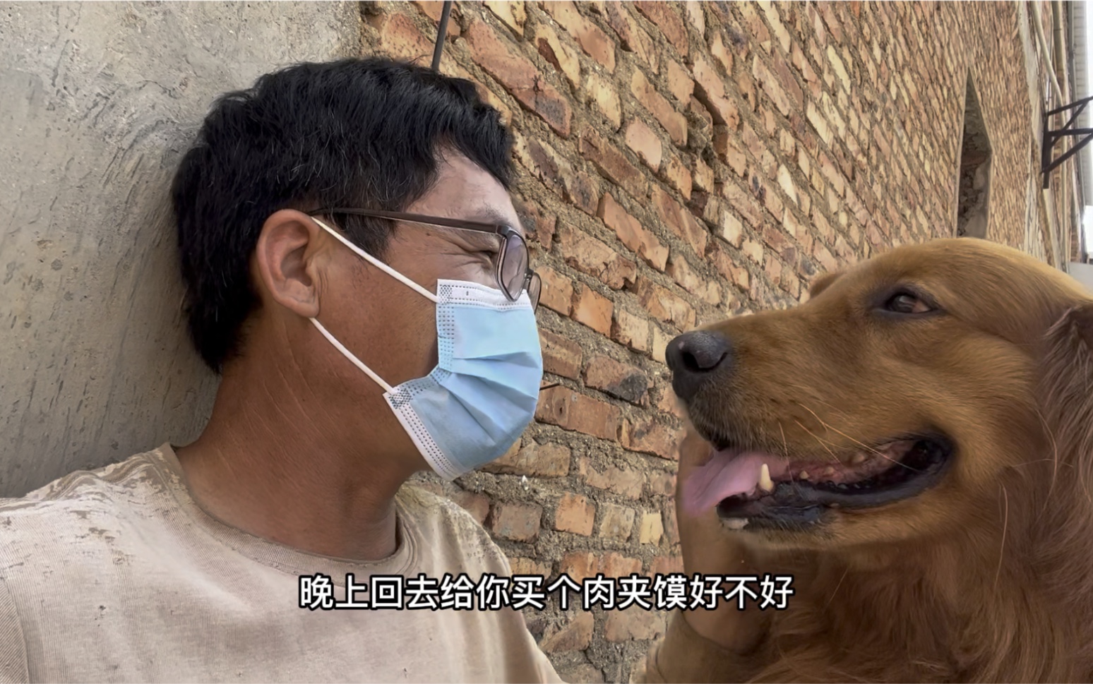 四眼蚂蚱与大金毛:今天差点被人打,糖果瞬间开启护主模式.