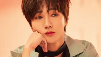 superjunior 艺声 金钟云 曺圭贤 厉旭 看弟弟眼色唱歌的艺声