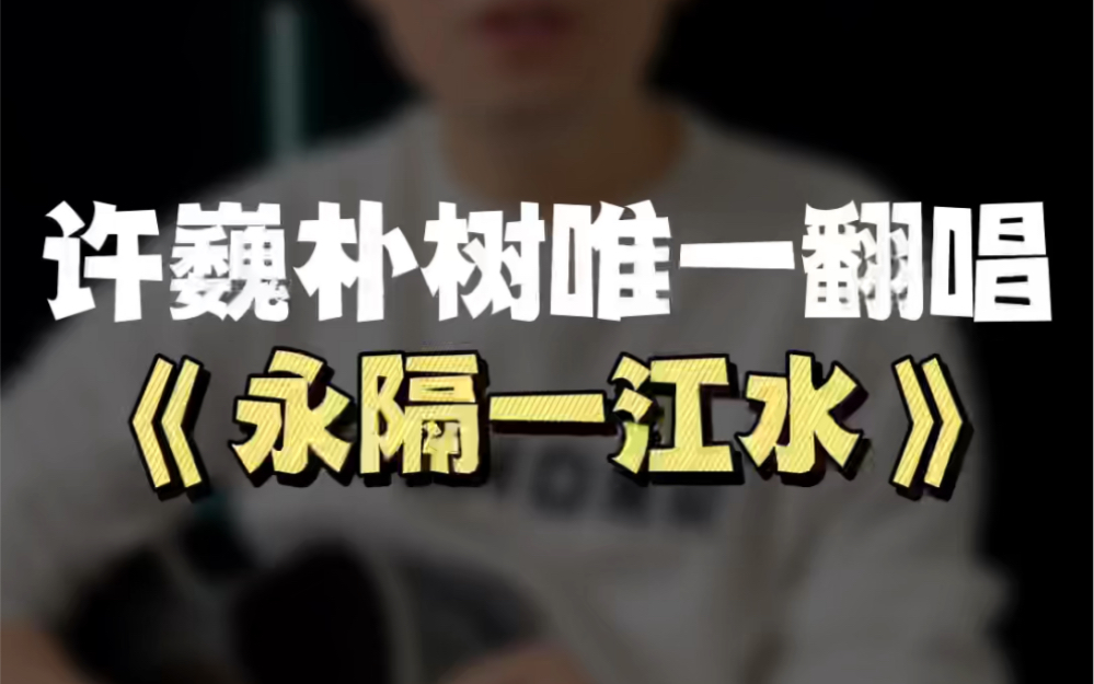 许巍朴树唯一翻唱过的歌《永隔一江水》吉他入门级弹唱教程哔哩哔哩bilibili