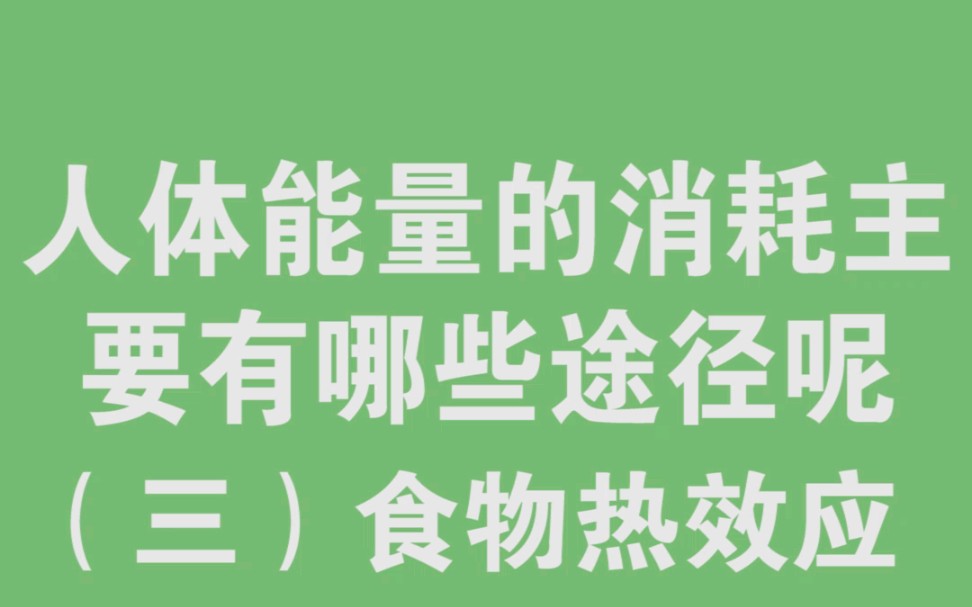 食物热效应也是人体能量消耗的一个途径哔哩哔哩bilibili