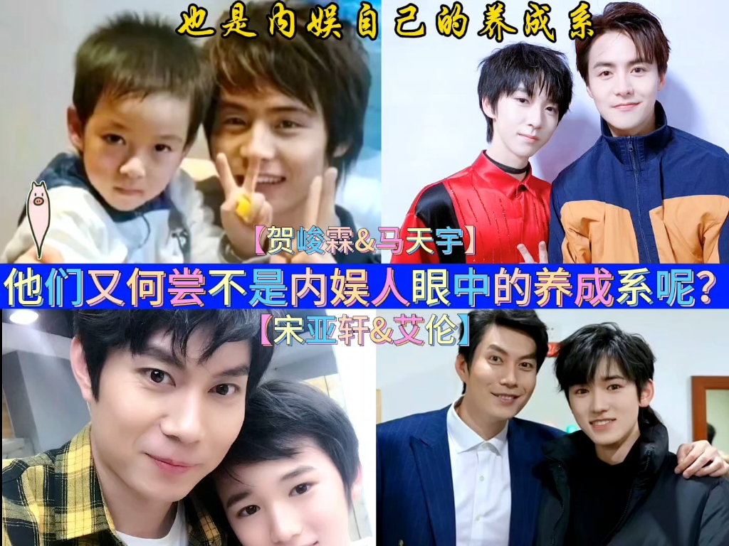 宋亚轩贺峻霖 内娱人眼中的养成系 #贺峻霖宋亚轩 #马天宇艾伦