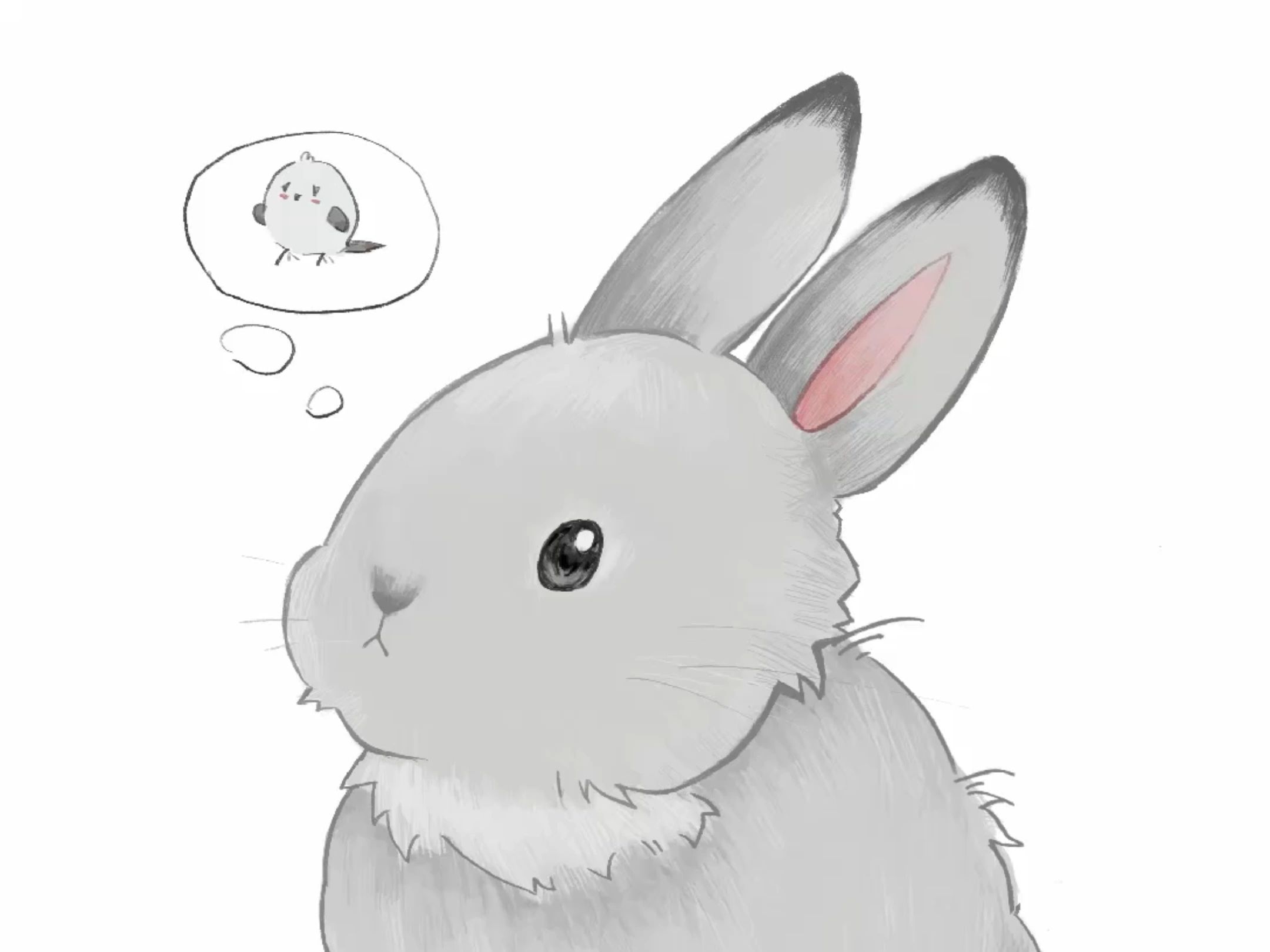 【头像绘画】一只小灰兔