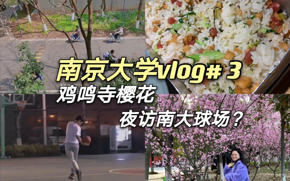 南京大学vlog#3 | 学姐的周末 | 鸡鸣寺樱花 | 拔草蜜桃餐厅 | 夜访球场哔哩哔哩bilibili