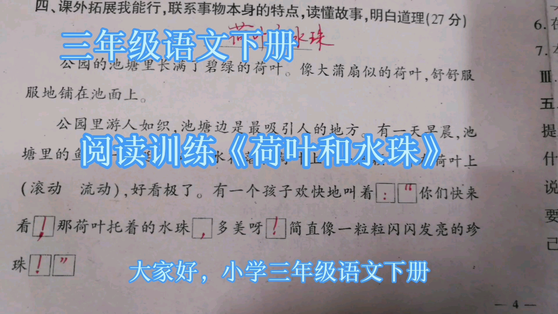 三年级语文下册,阅读训练《荷叶和水珠》哔哩哔哩bilibili