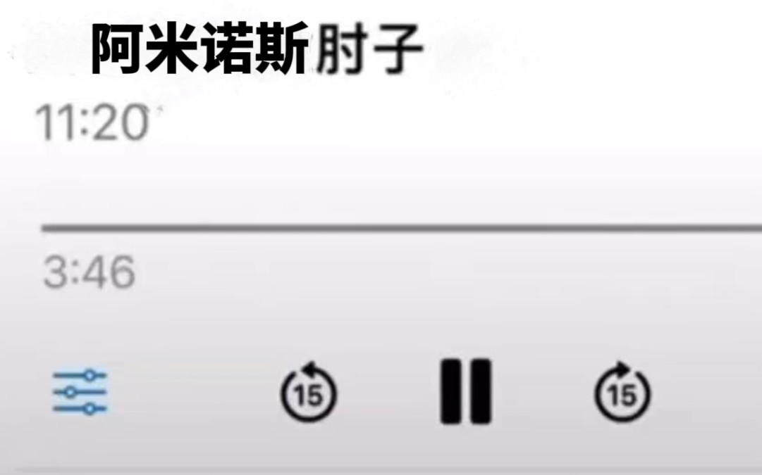 阿米诺斯肘子半小时纯享版