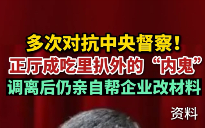 多次对抗中央督察!正厅成吃里扒外的“内鬼”,调离后仍亲自帮企业改材料.哔哩哔哩bilibili