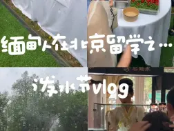 今天的vlog是缅语版！