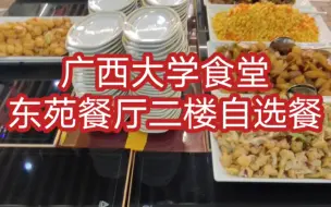 Tải video: 广西大学食堂vlog/东苑餐厅二楼自选餐