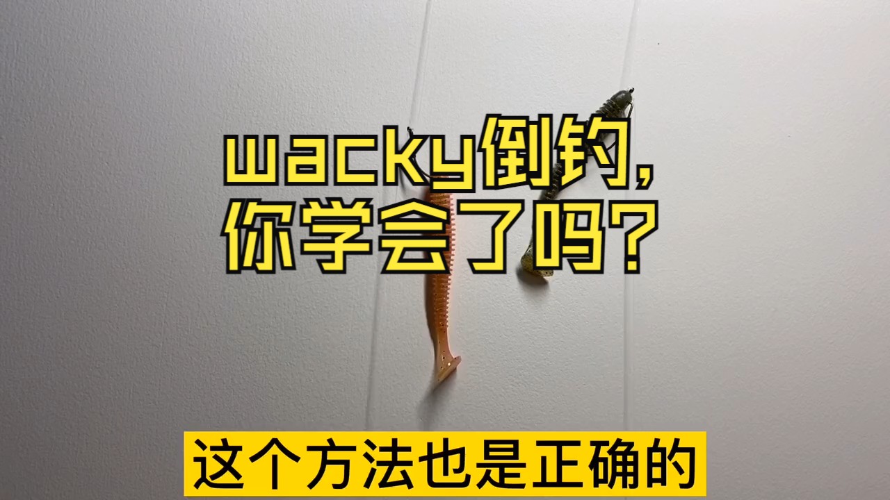 wacky倒钓,你学会了吗?哔哩哔哩bilibili