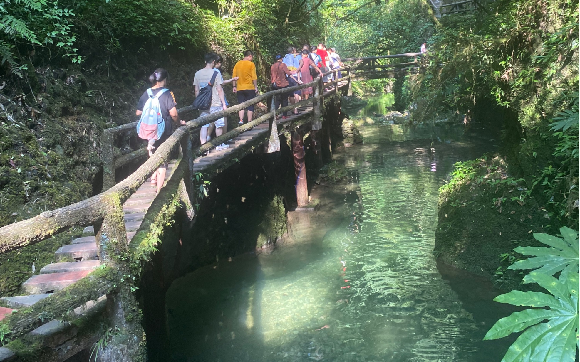 青城山后山绝对是避暑的好去处,里面的绿树遮天蔽日,瀑布水流自然降温.一点都不热.让人放松下来,心旷神怡.返景入深林,复照青苔上.飞瀑泻深...