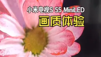 Скачать видео: 小米电视S 55 MiniLED-画质