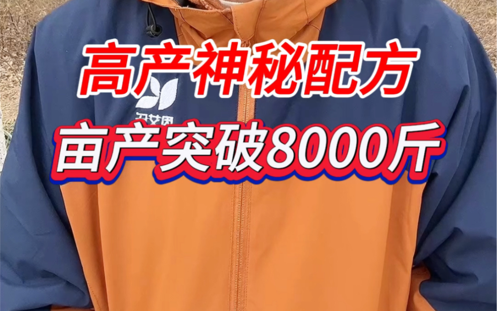 大蒜种植 高产神秘配方 亩产突破8000斤哔哩哔哩bilibili