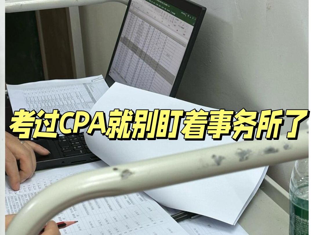 三年审计狗考过CPA,裸辞四大跳槽证券公司……终于过上了梦寐以求的双休生活!哔哩哔哩bilibili