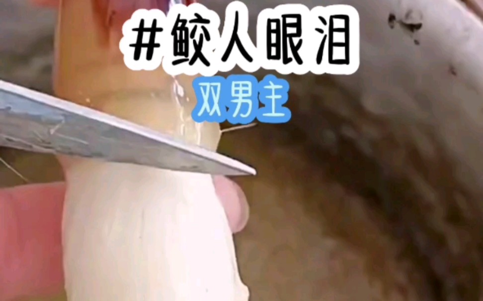 茗《鲛人眼泪》小说推荐哔哩哔哩bilibili