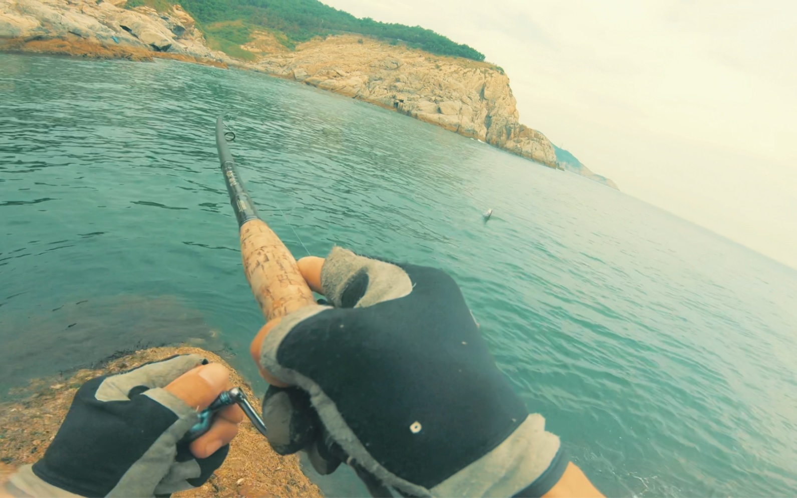 给你们看一下海鲈鱼洗鳃