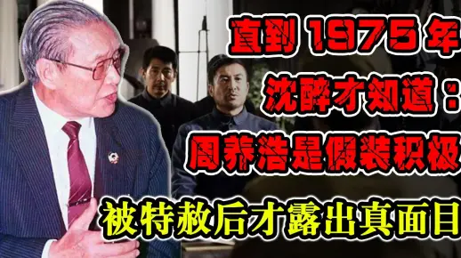沈醉直到1975年才知道:周养浩是假装积极,被特赦后才露出真面目_哔哩哔哩_bilibili