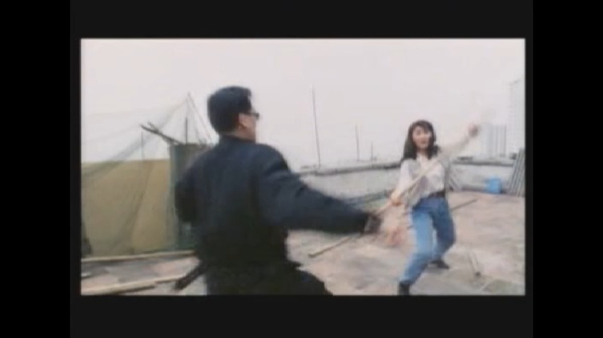 动作女神杨丽菁 经典动作片《城市女猎人