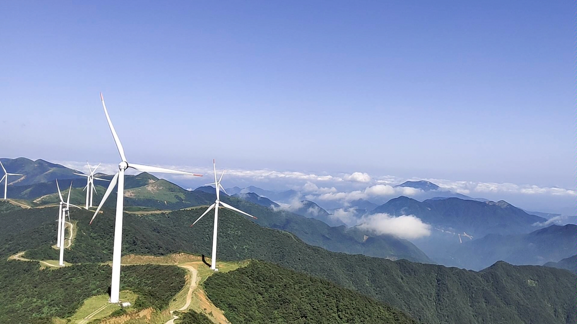 森林公园山顶绝美风景_哔哩哔哩_bilibili