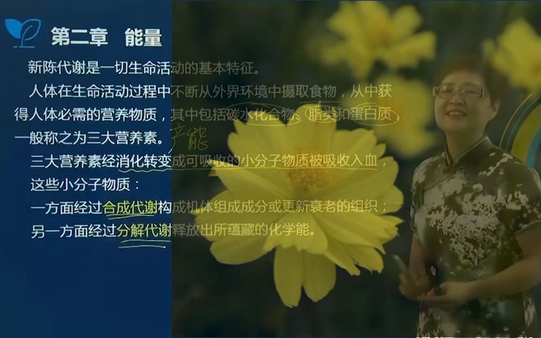 12节 基础营养能量;营养师,公共营养师,营养指导员哔哩哔哩bilibili