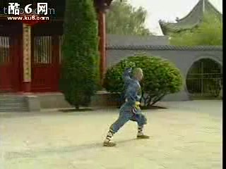 少林大罗汉拳哔哩哔哩bilibili