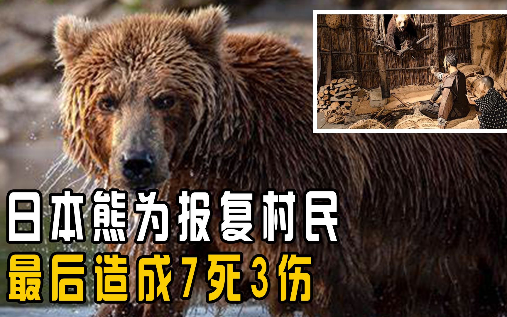 上海动物园熊吃人照片图片