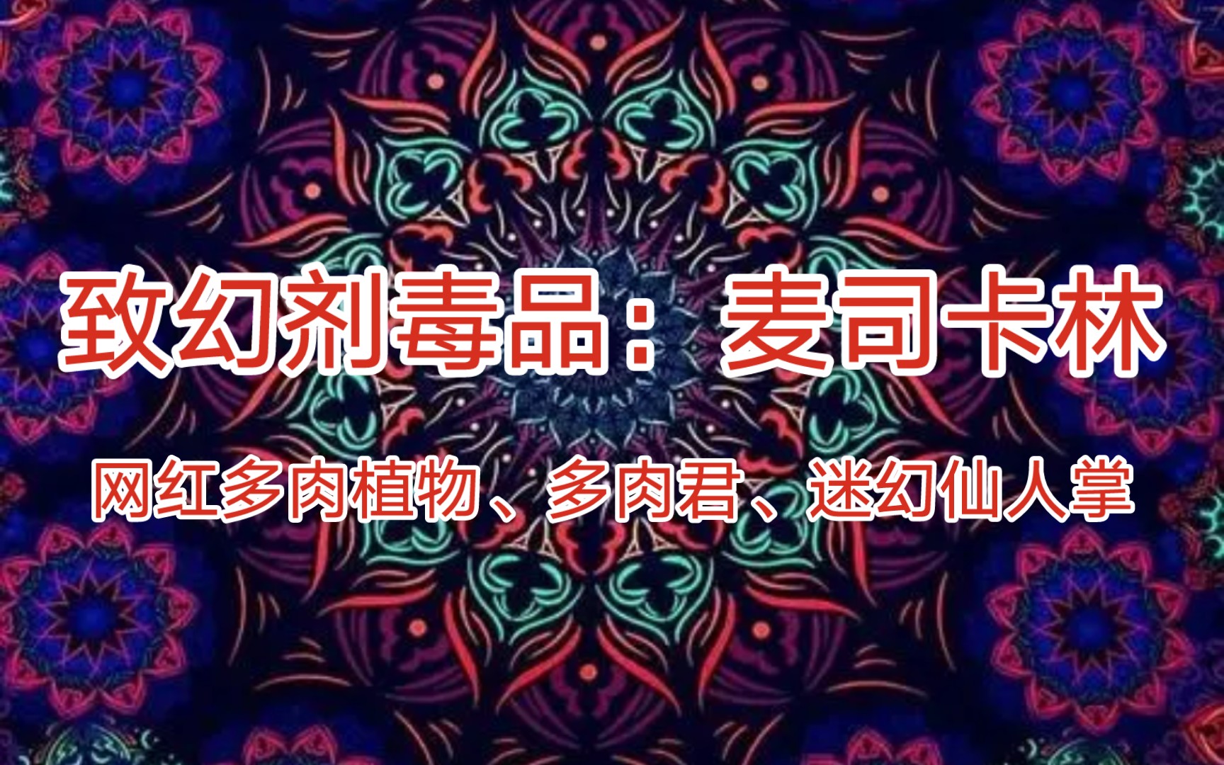 《禁毒科普》致幻仙人掌:世界第一种致幻剂、天然致幻剂麦司卡林.哔哩哔哩bilibili