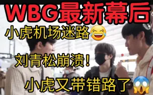 Download Video: WBG世界赛幕后曝光！小虎机场迷路刘青松蚌埠住了:他带错路了！