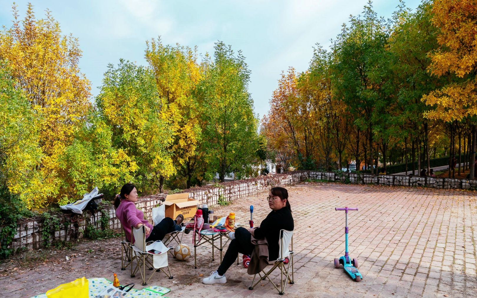 渭河生态公园小树林秋色3