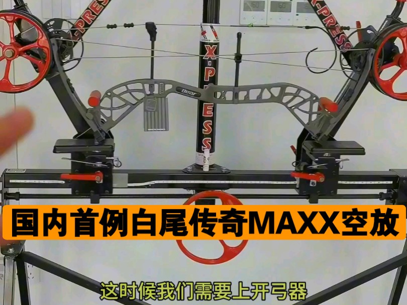 国内首例白尾传奇maxx复合弓空放