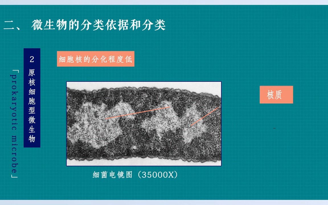 [1.1.1] 微生物与病原微生物哔哩哔哩bilibili