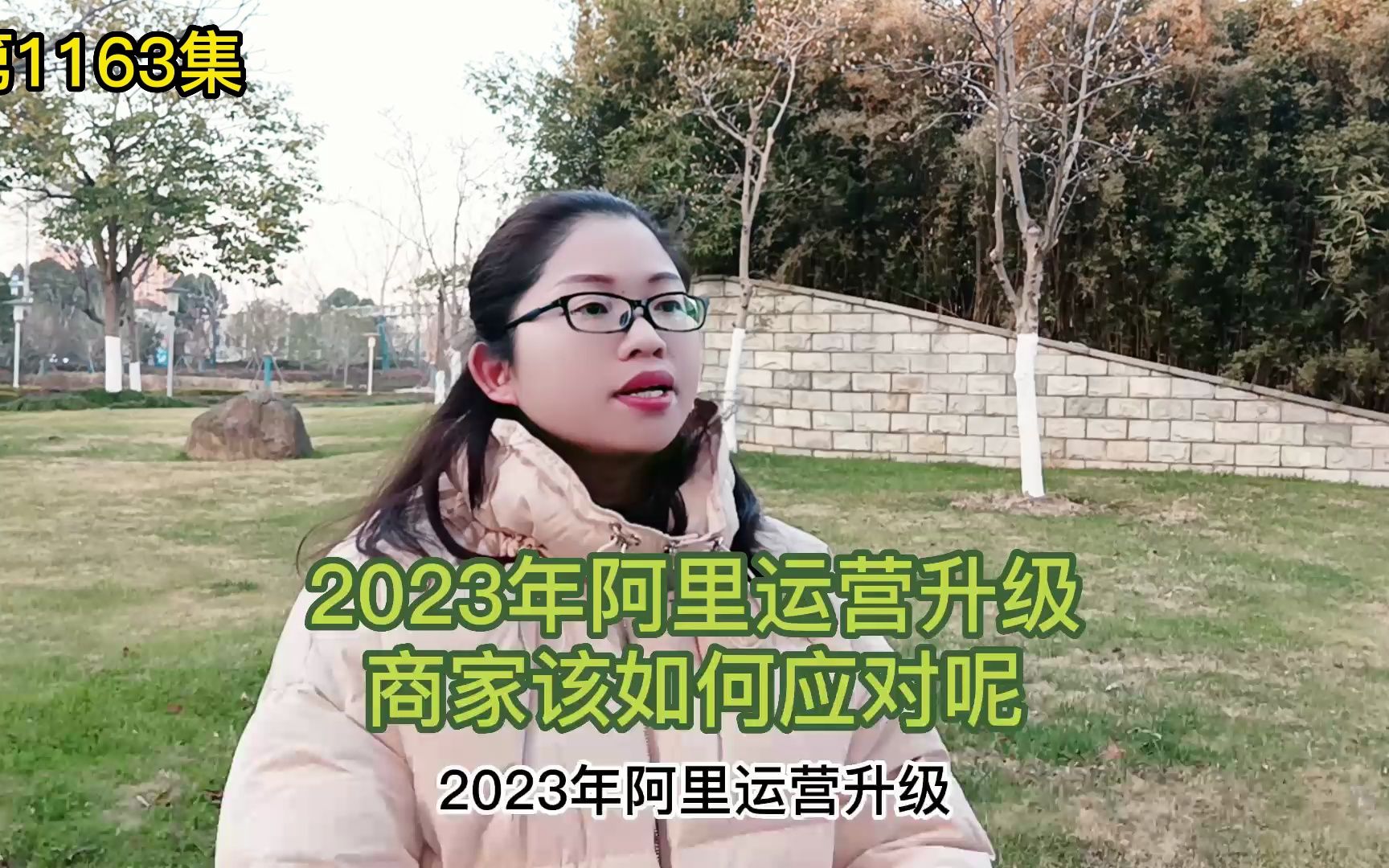 2023年阿里运营升级商家该如何应对呢哔哩哔哩bilibili